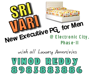 ladies pg in electronic city phase 2